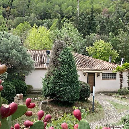 La Vinya De Mas Pujol Vila Suria Exterior foto